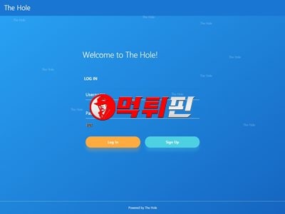 더홀 먹튀