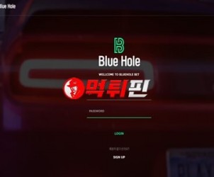 블루홀 먹튀