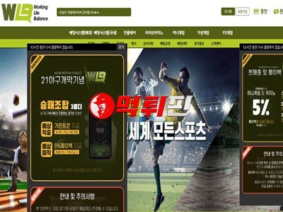 워라벨 먹튀