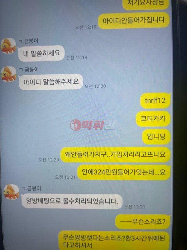 금붕어 먹튀검증 자료2