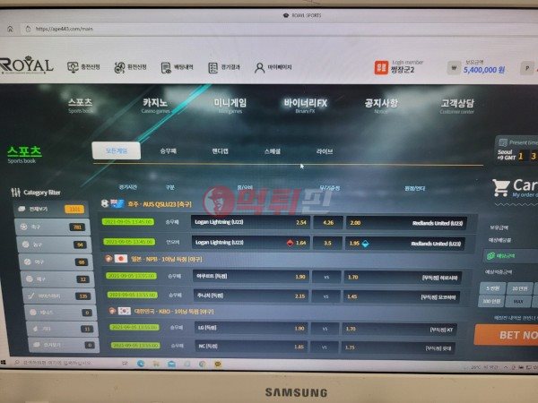 로얄스포츠 먹튀검증 자료1