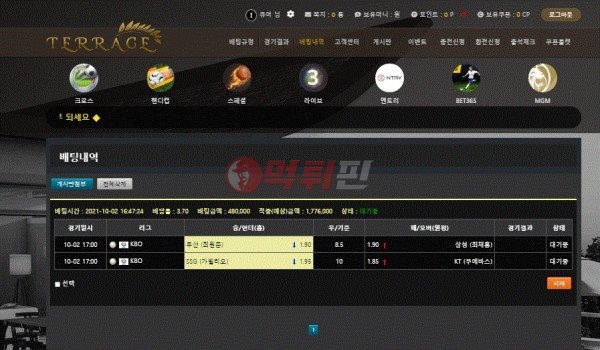 테라스 먹튀검증 자료