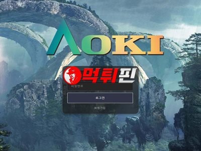 아오키 먹튀