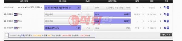 웰시코기 먹튀검증 자료