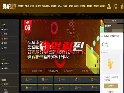 블루칩 먹튀