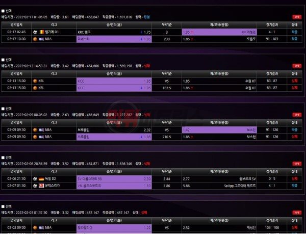 보니타 검증 증거자료